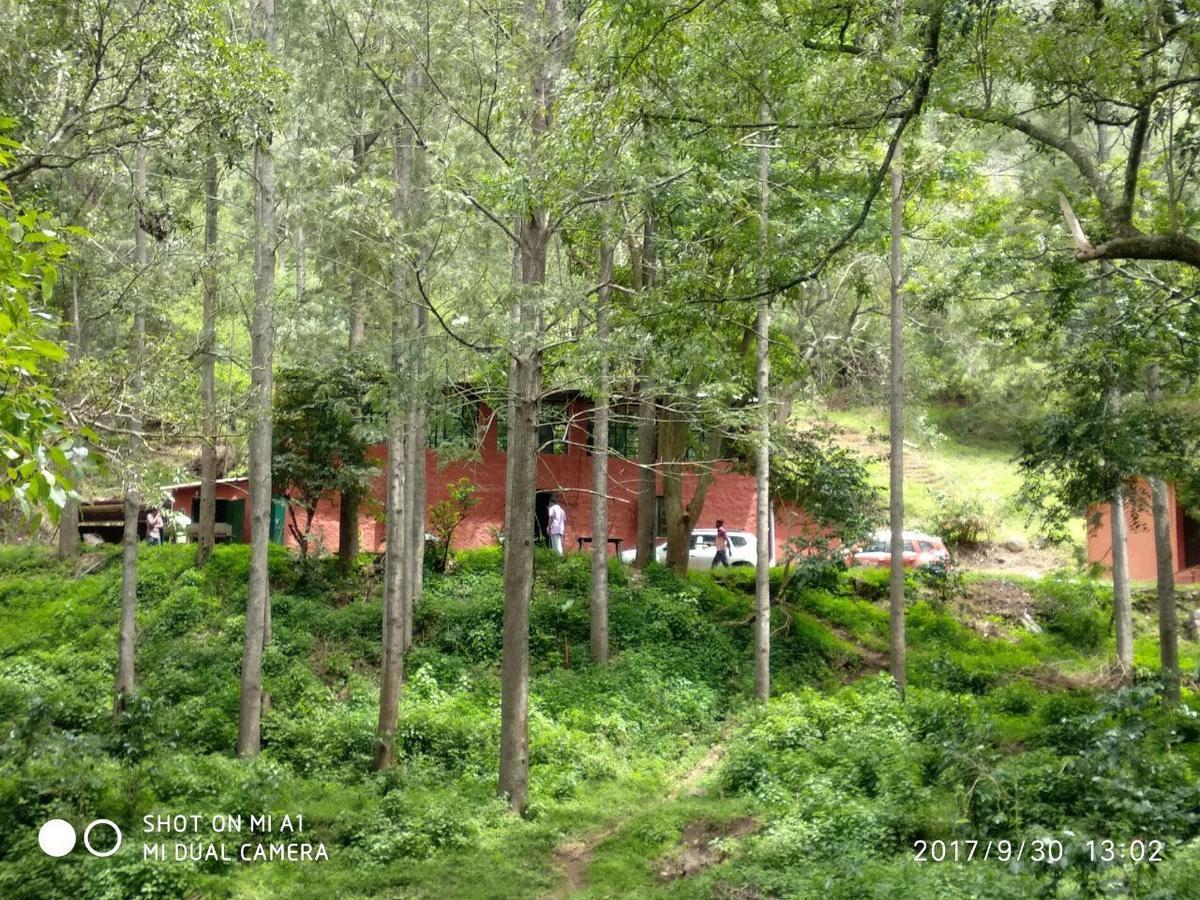 Secret Valley Jungle Resort Ooty Eksteriør billede