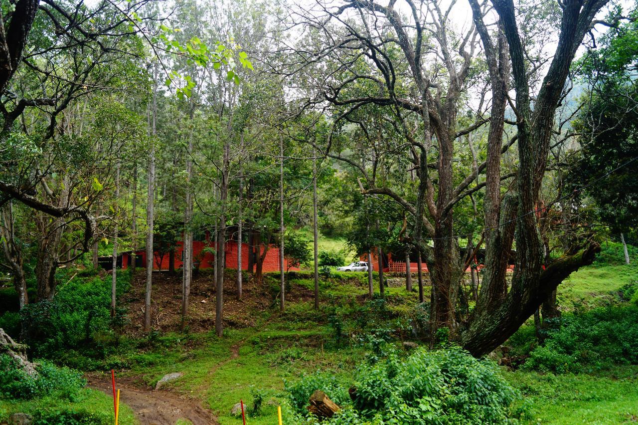 Secret Valley Jungle Resort Ooty Eksteriør billede