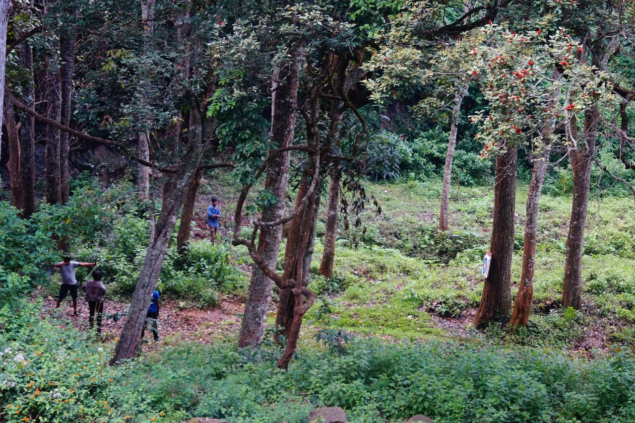 Secret Valley Jungle Resort Ooty Eksteriør billede
