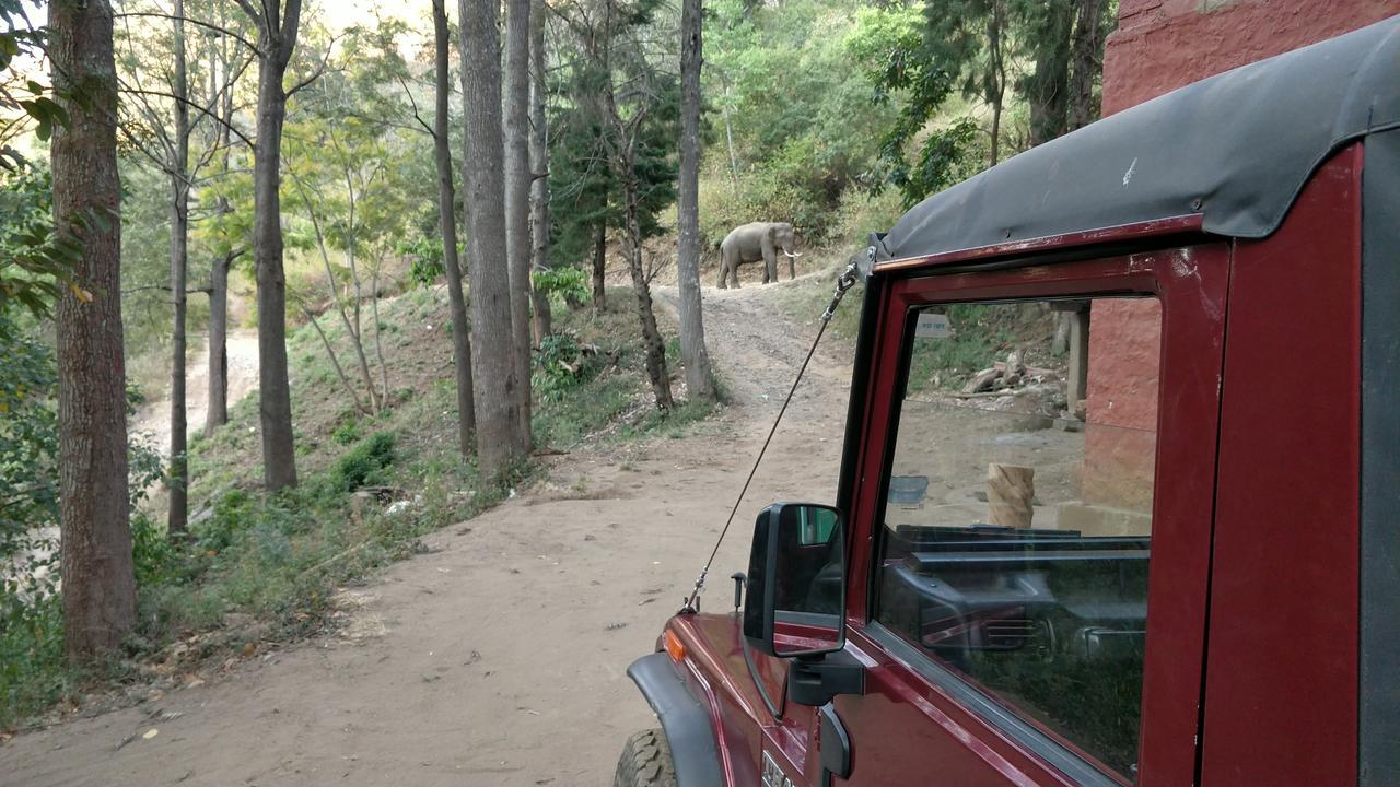 Secret Valley Jungle Resort Ooty Eksteriør billede